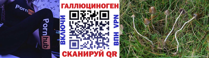 hydra онион  Горячий Ключ  Псилоцибиновые грибы мухоморы 